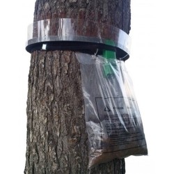 Kit pour 10 pièges colliers anti-chenille processionnaire du pin