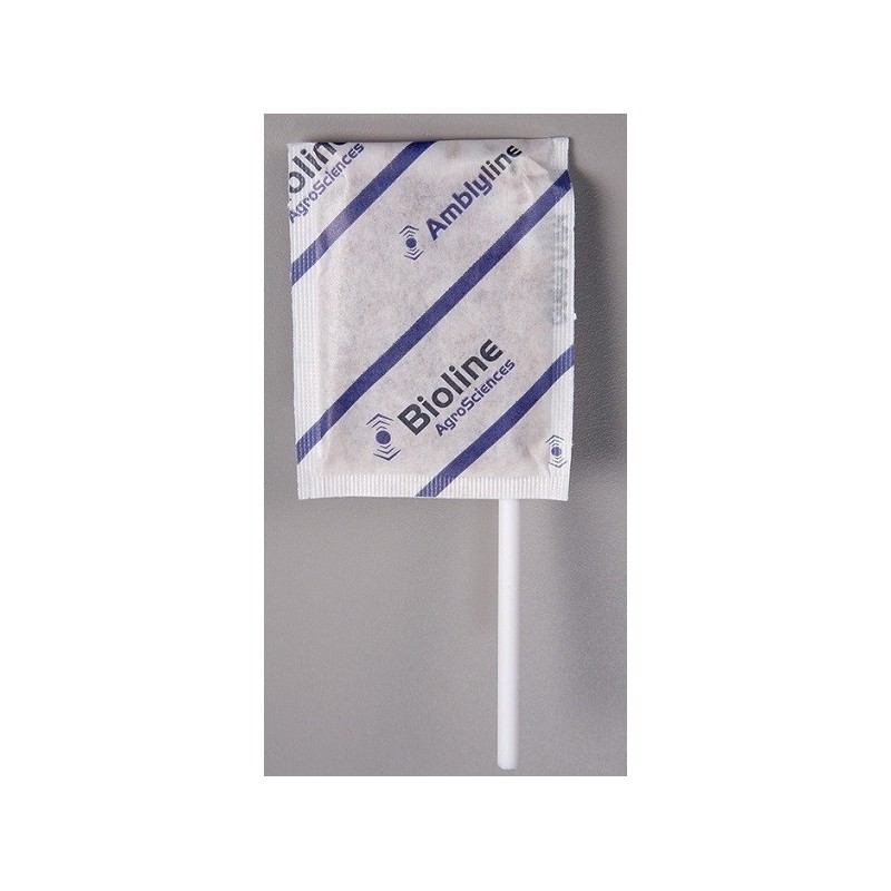 Amblyseius cucumeris en sachets diffuseurs