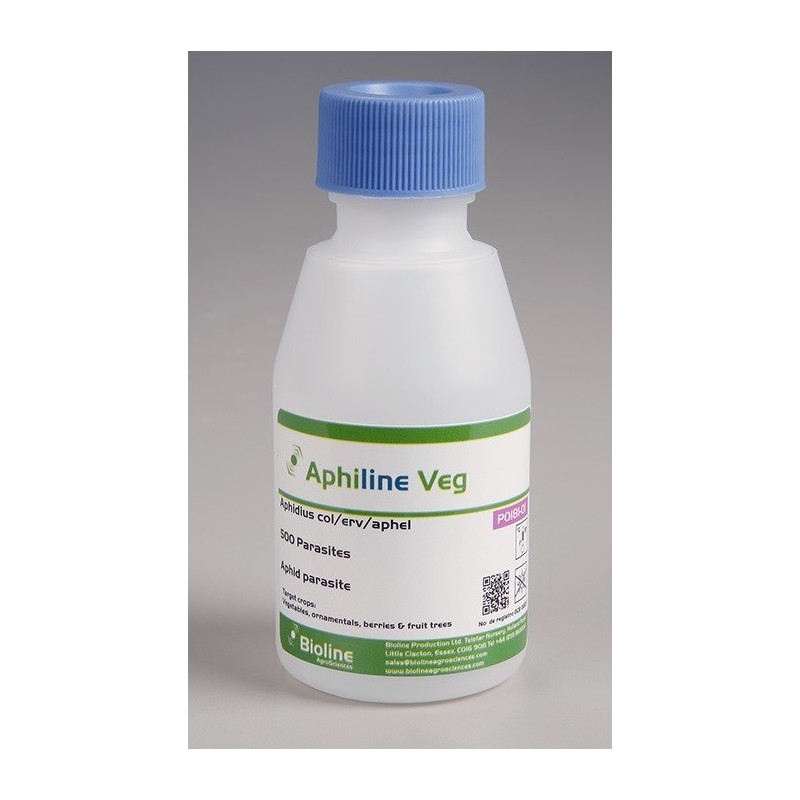 APHILINE VEG