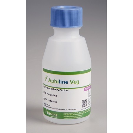 APHILINE VEG