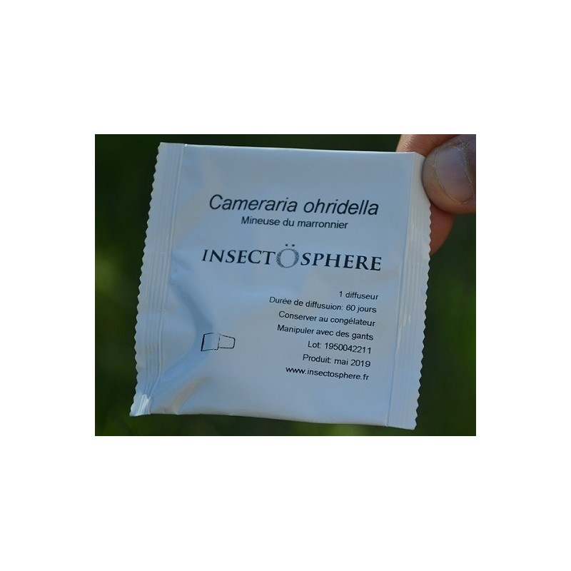 Phéromone Cameraria ohridella