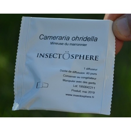 Phéromone Cameraria ohridella