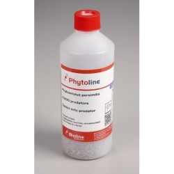 Phytoseiulus persimilis