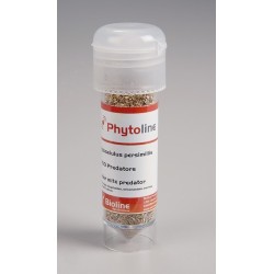 Phytoseiulus persimilis