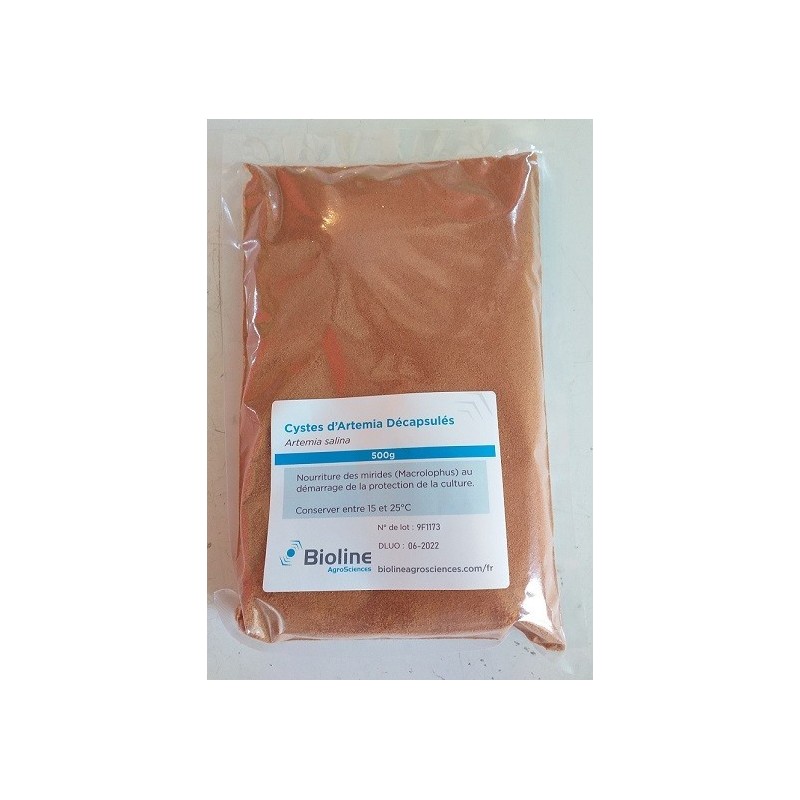 Cystes décapsulés Artemia salina