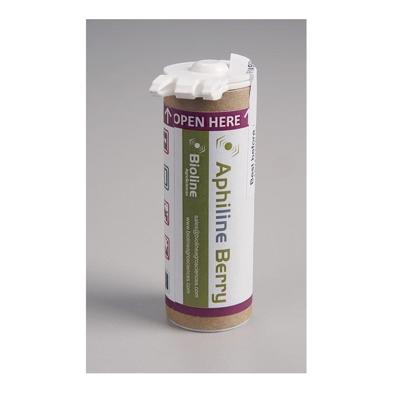 Mix de 6 parasitoïdes anti pucerons