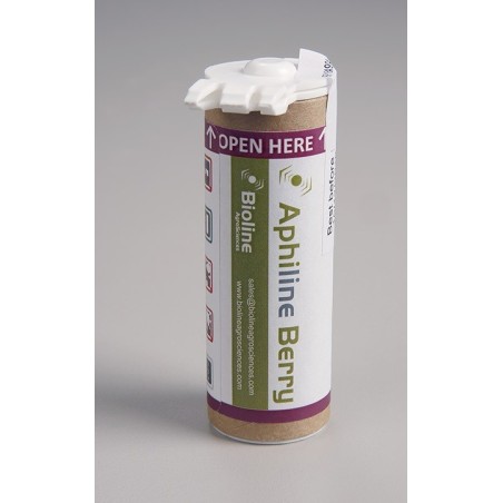 Mix de 6 parasitoïdes anti pucerons