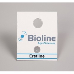 Eretmocerus eremicus