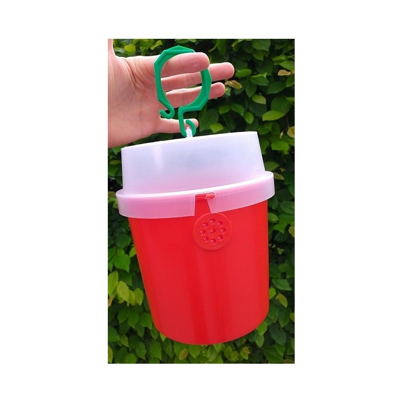 Piège à Drosophilia suzukii