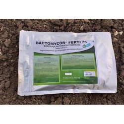 Amendement organiques à base de mycorhizes et bactéries