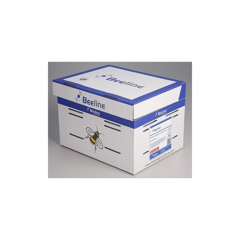 Ruche - Bombus terrestris