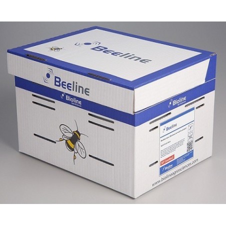 Ruche - Bombus terrestris