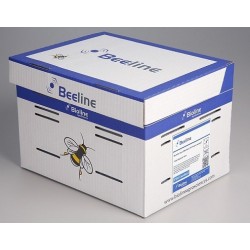 Ruche - Bombus terrestris