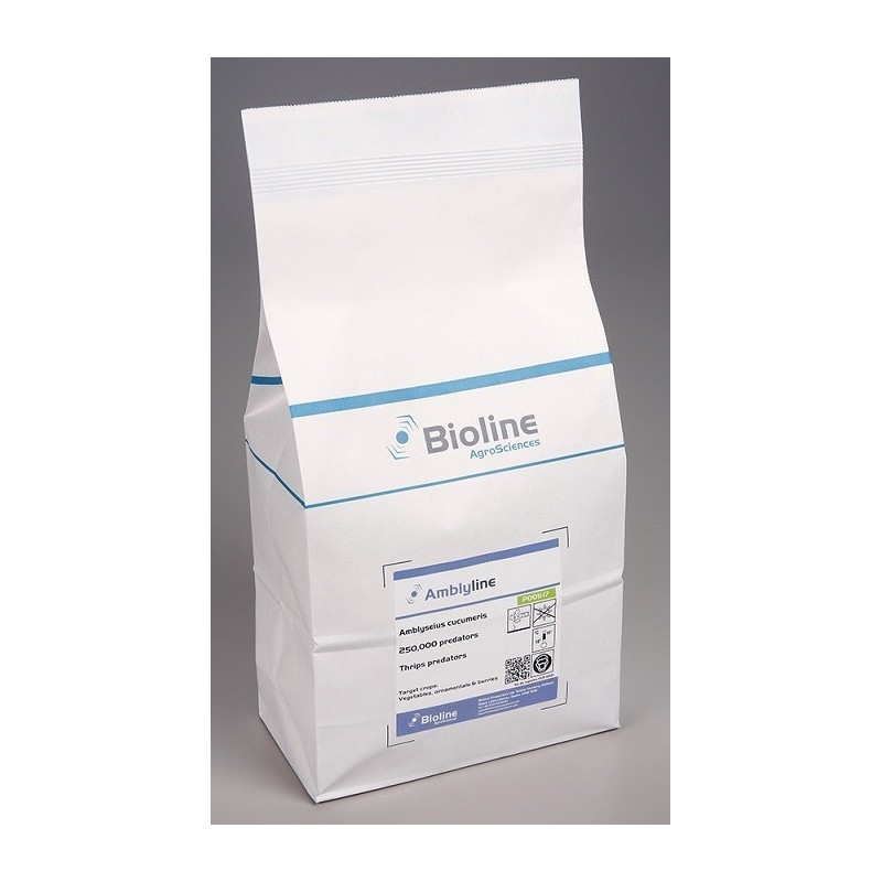 Amblyseius cucumeris vrac