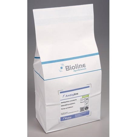 Amblyseius cucumeris vrac