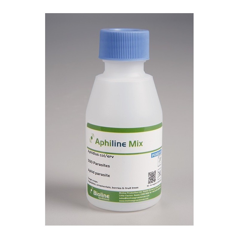 Mix Aphidius colemani + Aphidius ervi